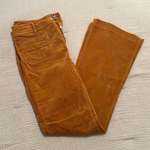 New Anthropologie pilcro bootcut cords. Size 28